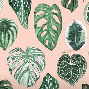 Meet your Posher, Alanna